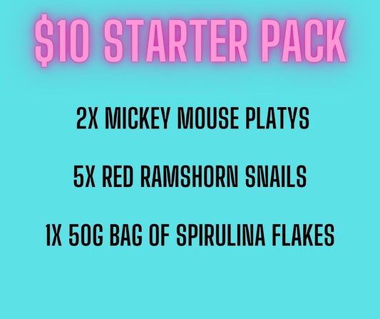 $10 STARTER PACK