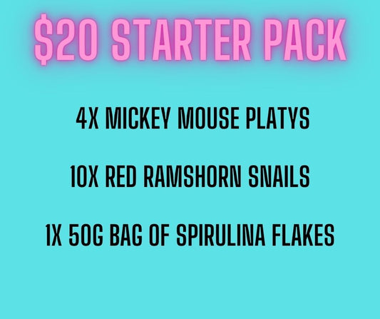 $20 STARTER PACK